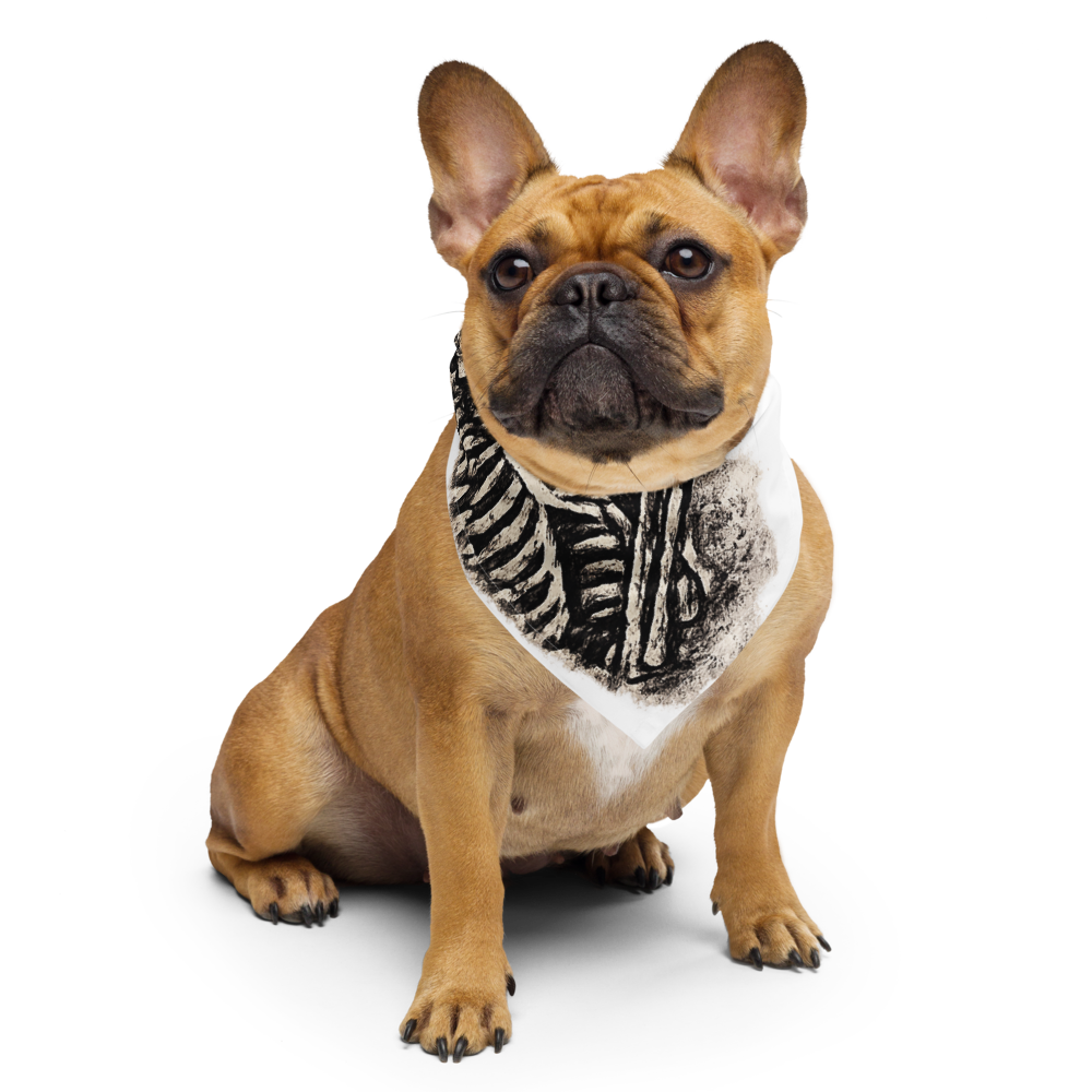 Bandanna/Scarf